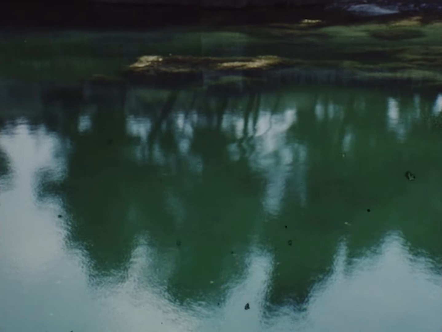 Olive tree (2025) —  shot,  lighting