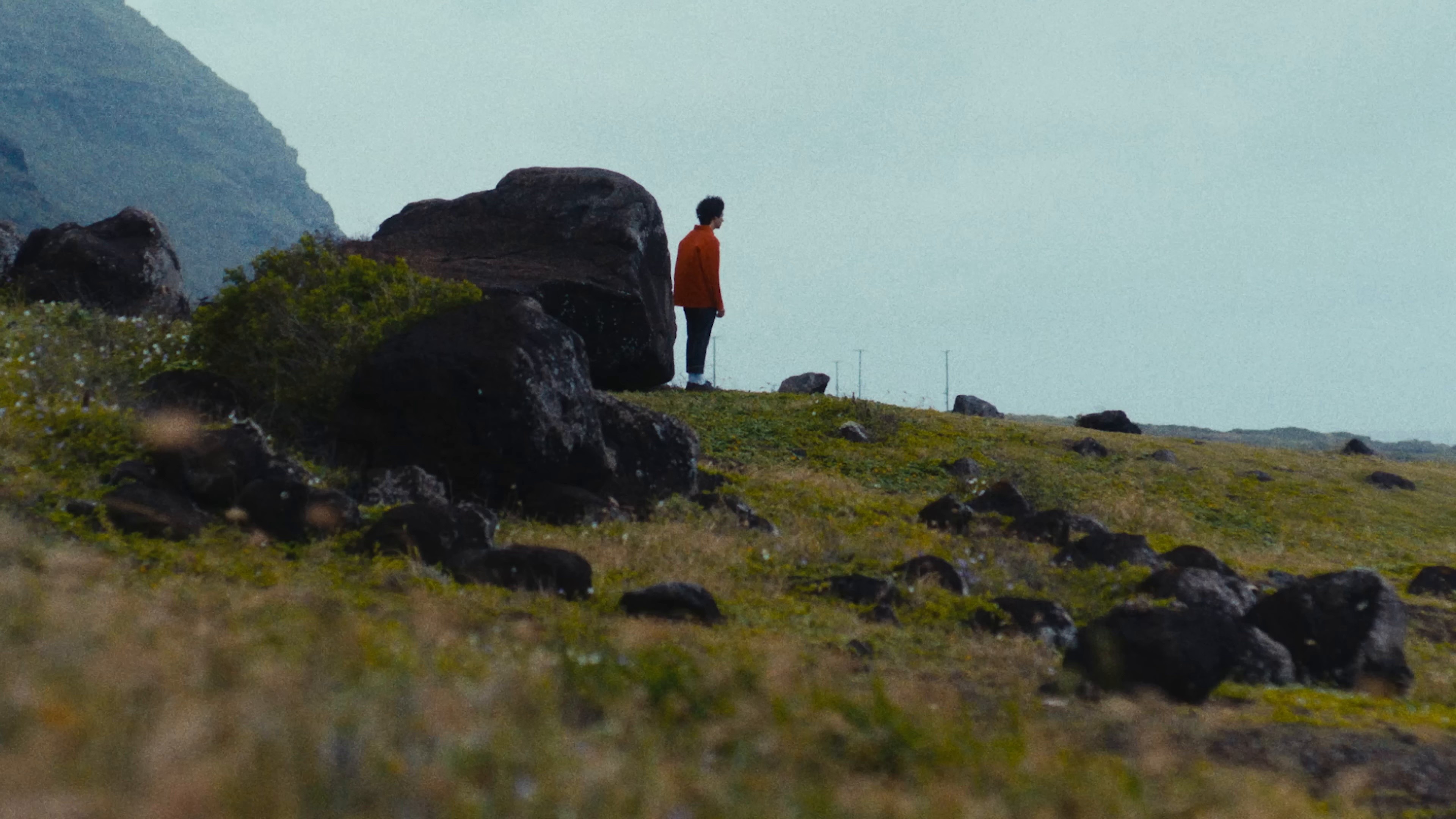 Only If You Say So (2024) —  shot,  lighting