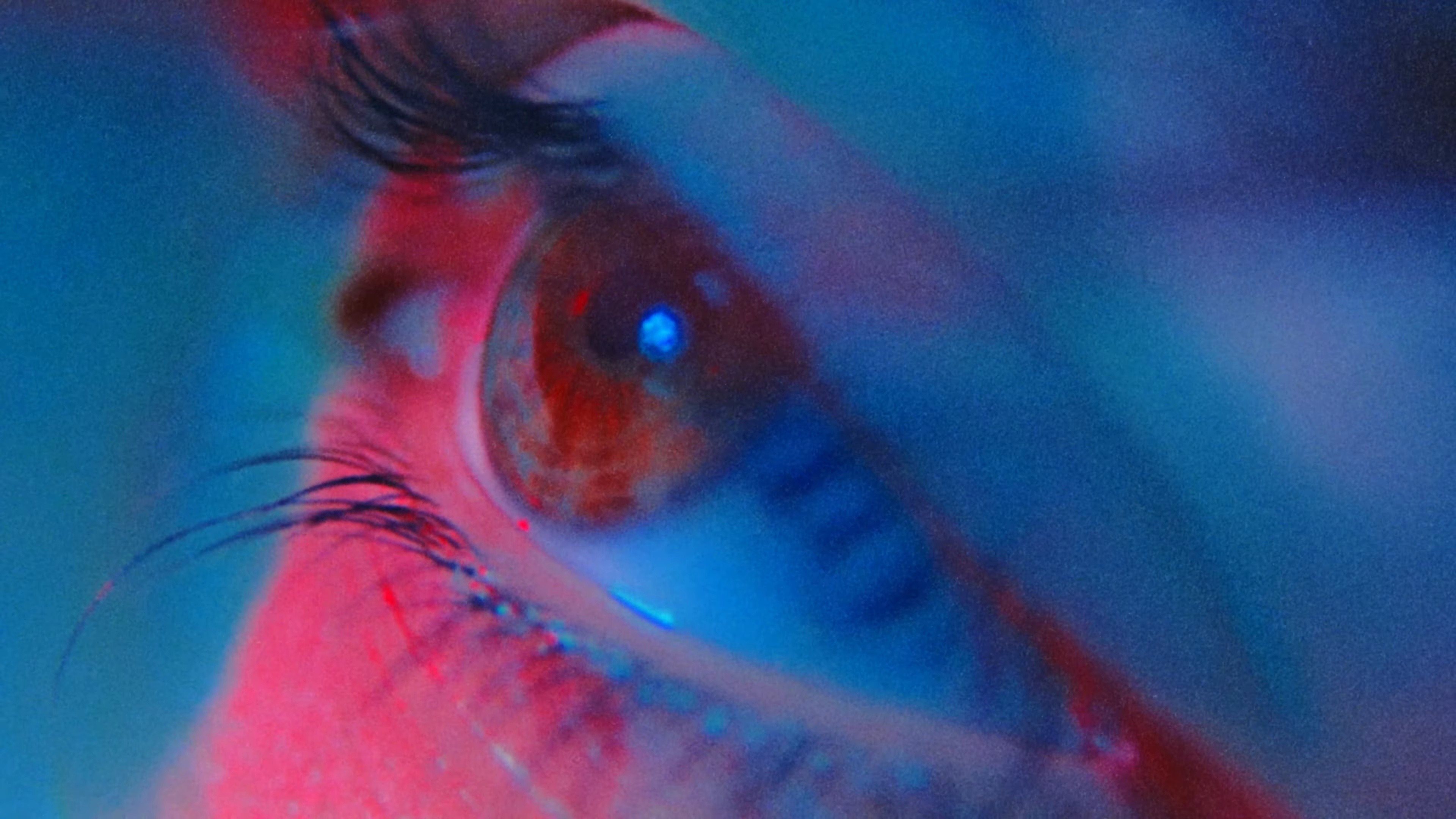 DESIRE (2022) —  shot,  lighting