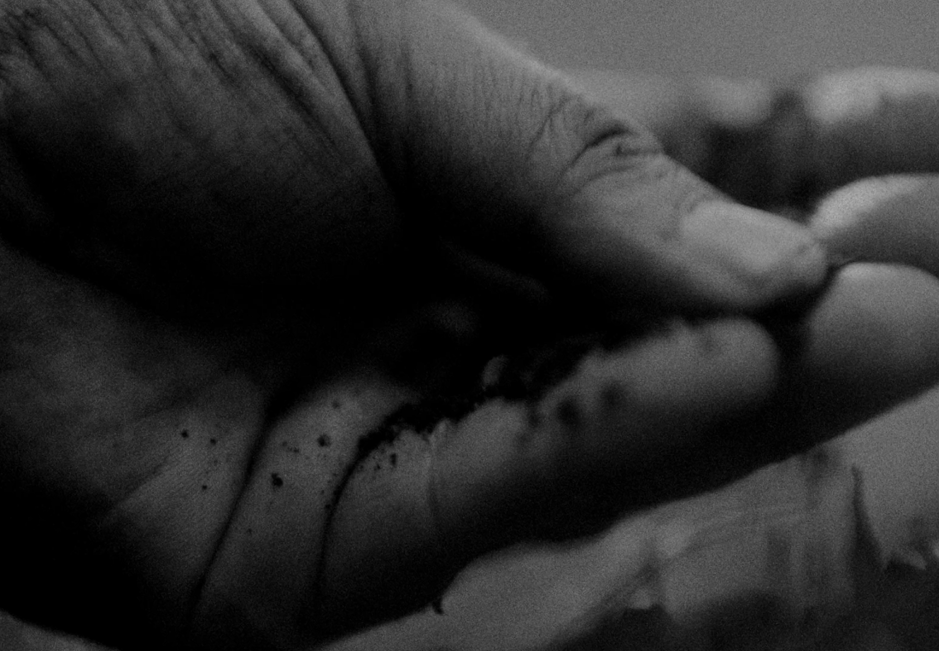 casa madero (2024) —  shot,  lighting