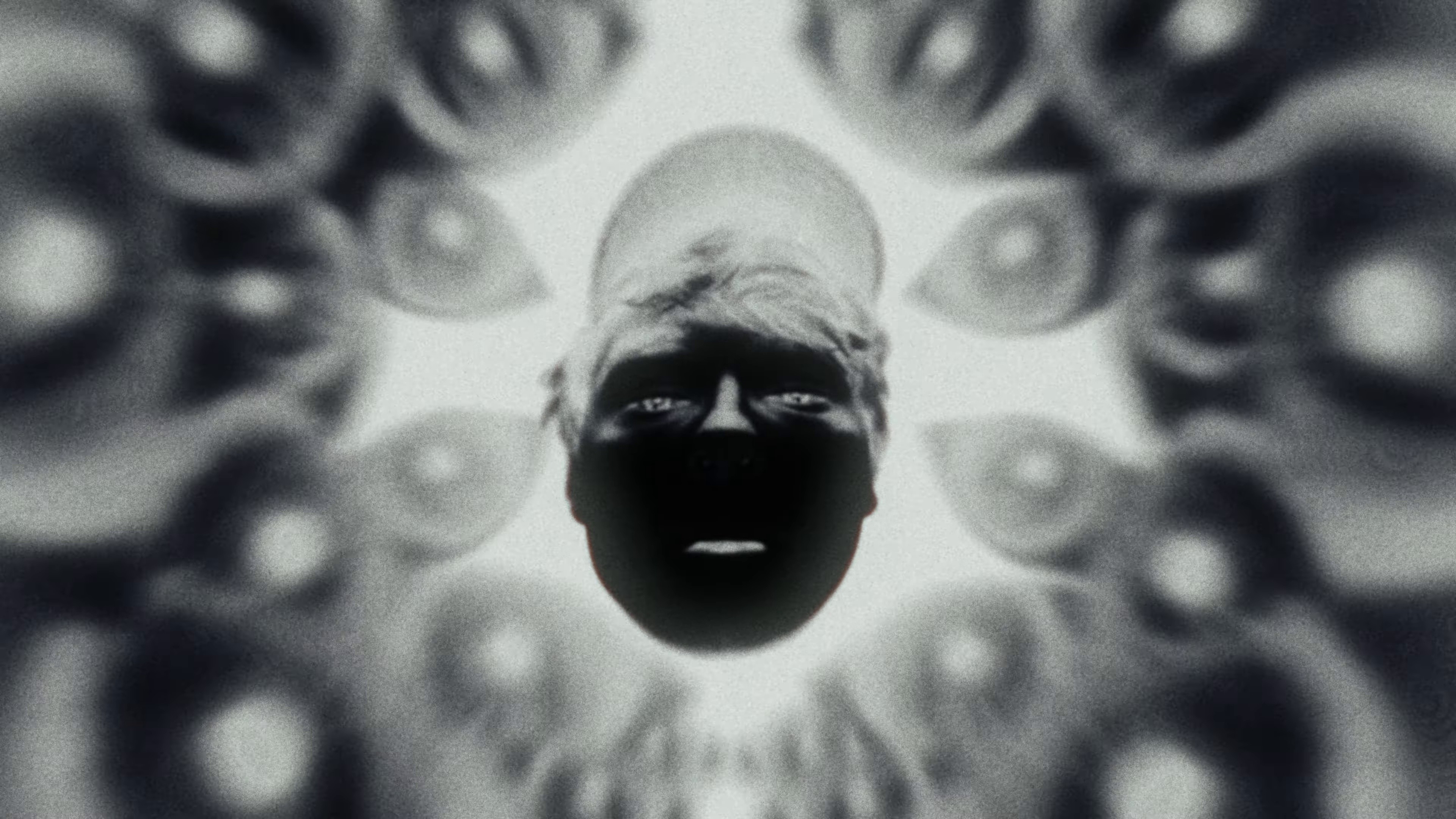 THE BEAUTY OF IT ALL (2024) —  shot,  lighting