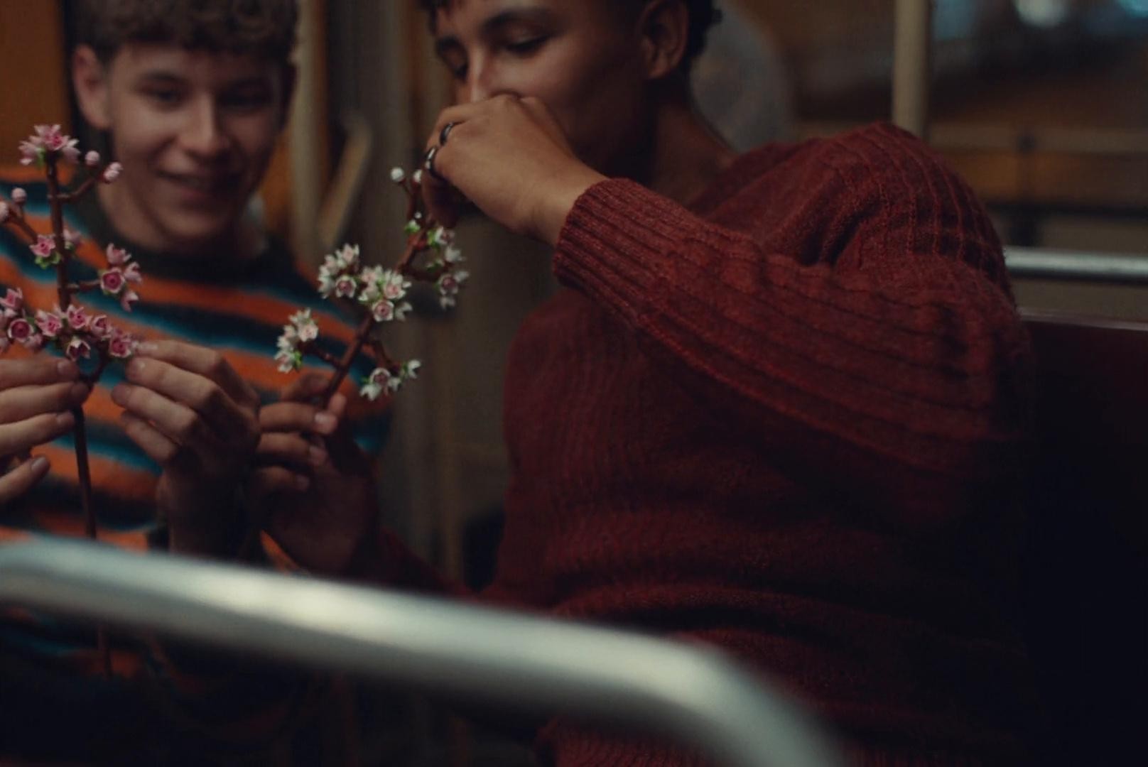 LEGO BOTANICALS: "Valentines Blooms For All" (2025) —  shot,  lighting