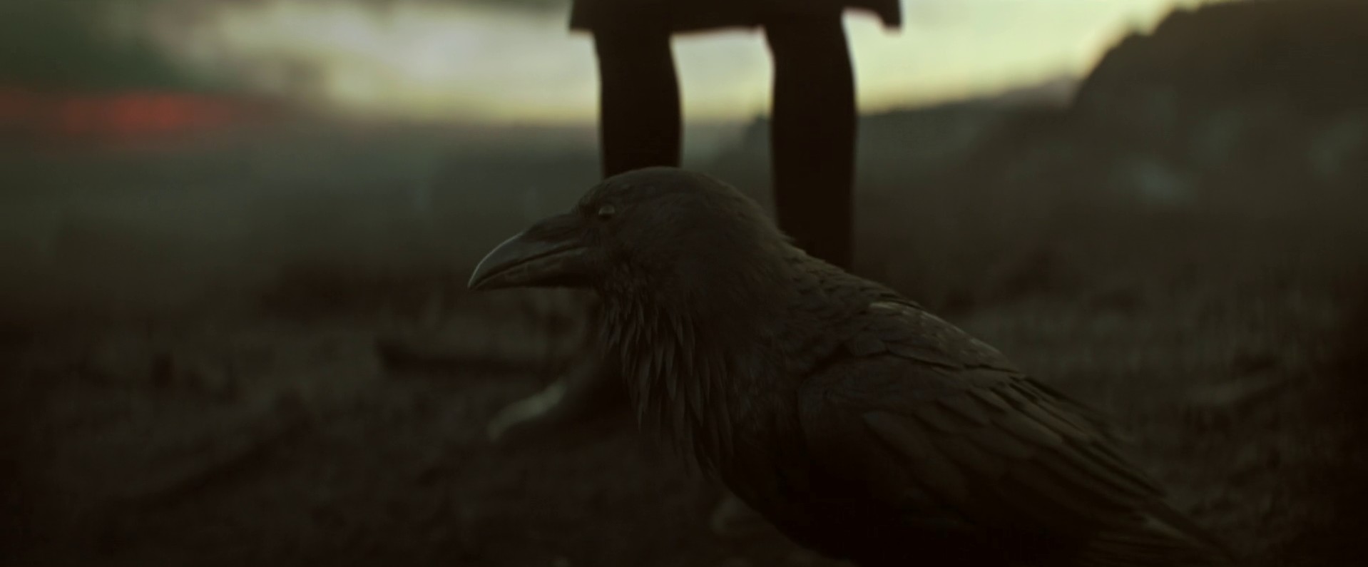 A Hope in Hell (2022) —  shot,  lighting