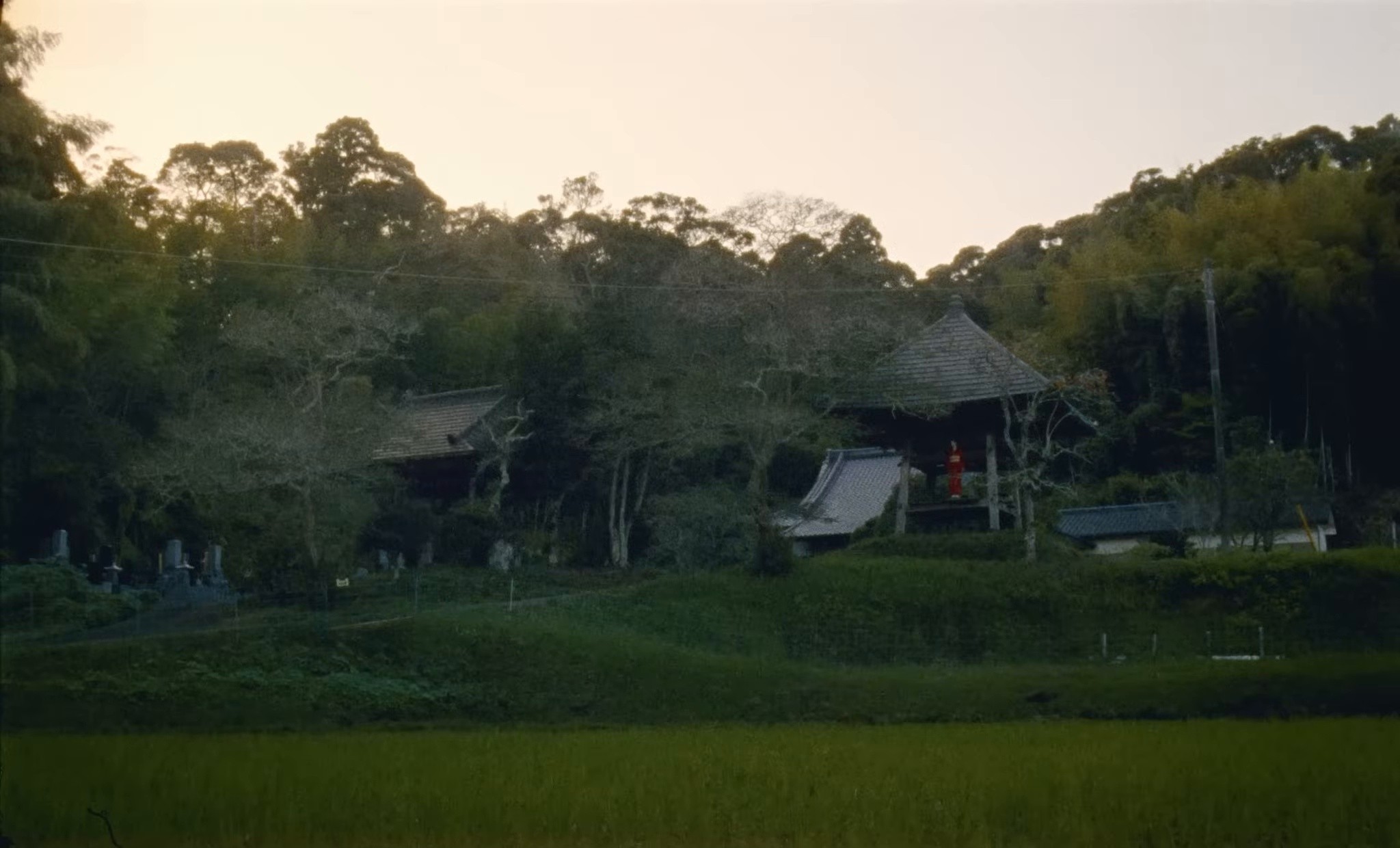 Orange Juice (2025) —  shot,  lighting