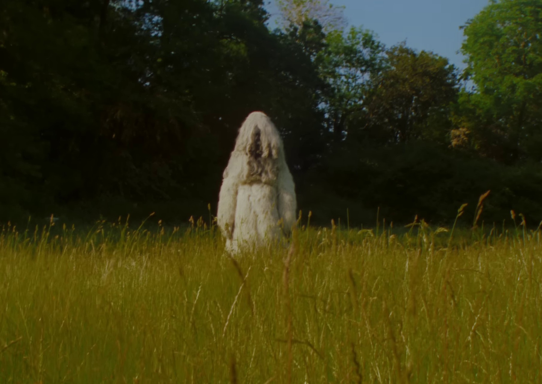 Yeti (2023) —  shot,  lighting