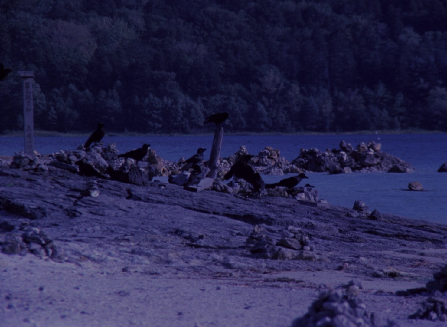 Pastoral: To Die in the Country (1974) —  shot,  lighting