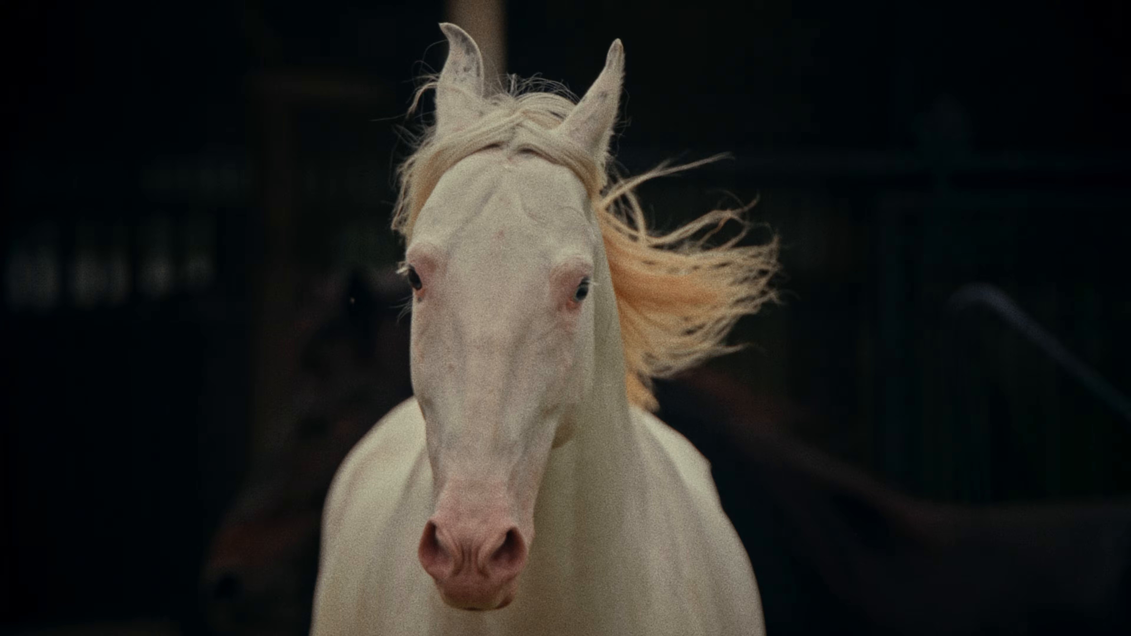 COWBOY ANGEL (2025) —  shot,  lighting