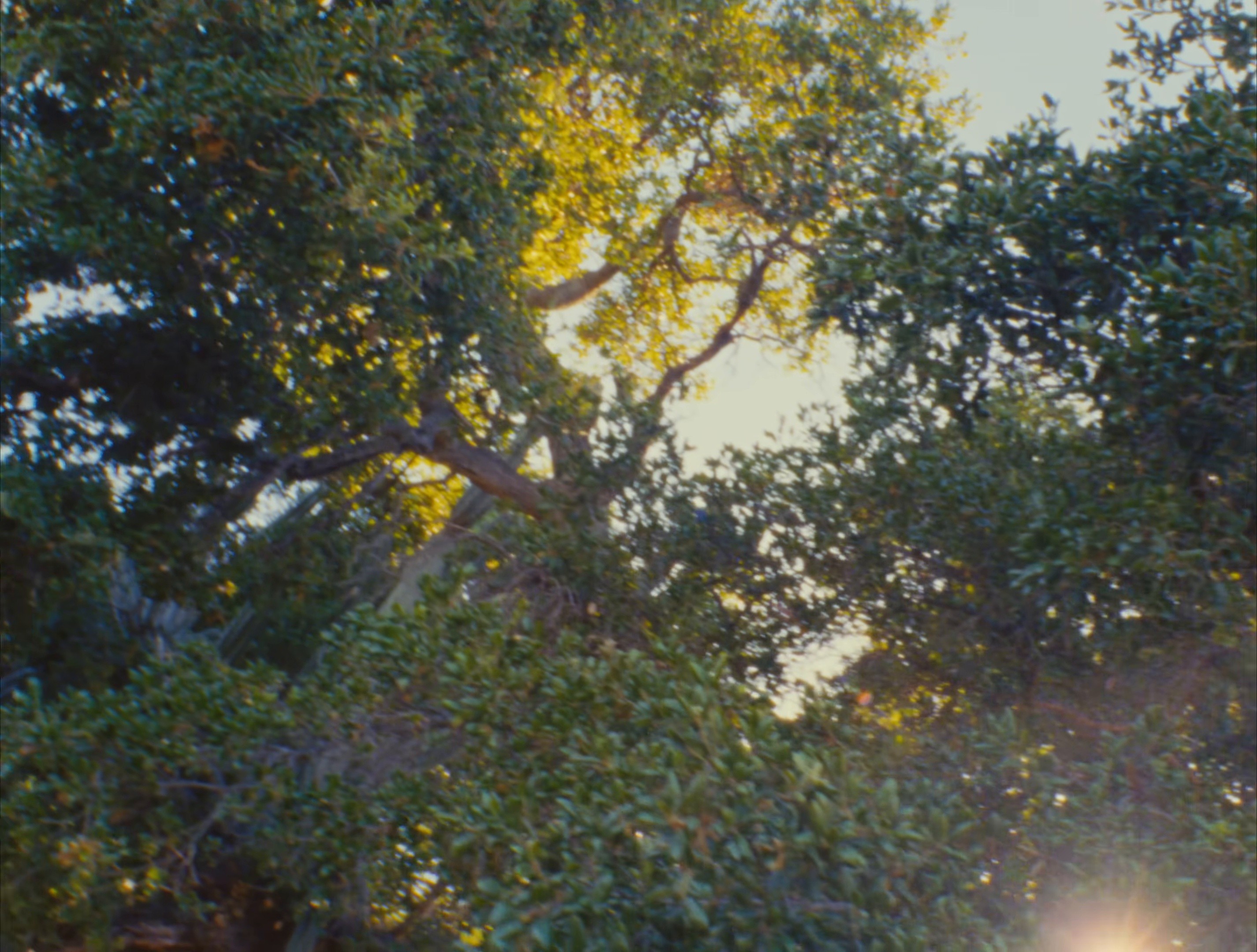 The Architect (2024) —  shot,  lighting