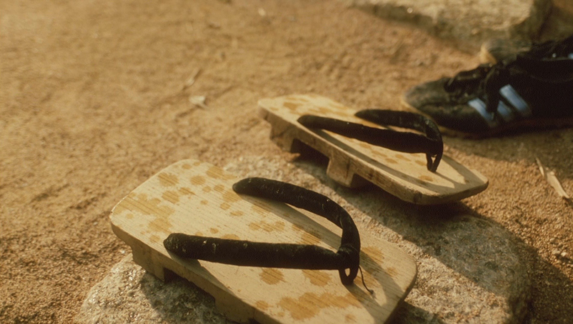 Natsu no niwa: The Friends (1994) —  shot,  lighting