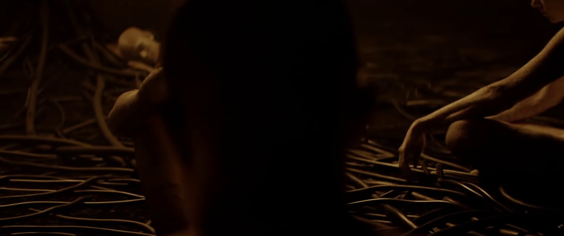 Moth To A Flame (2021) —  shot,  lighting