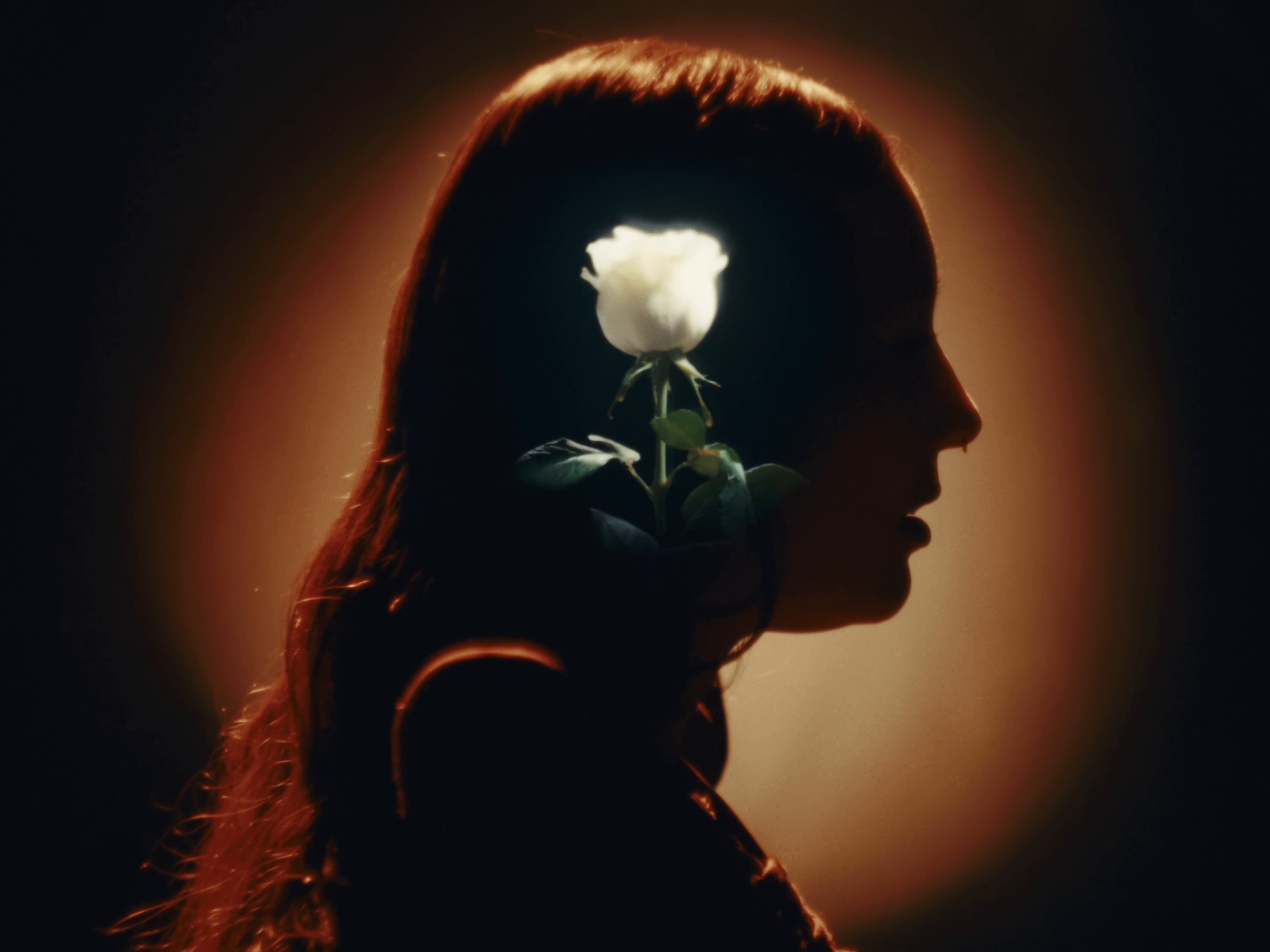 Golden Hour (2024) —  shot,  lighting