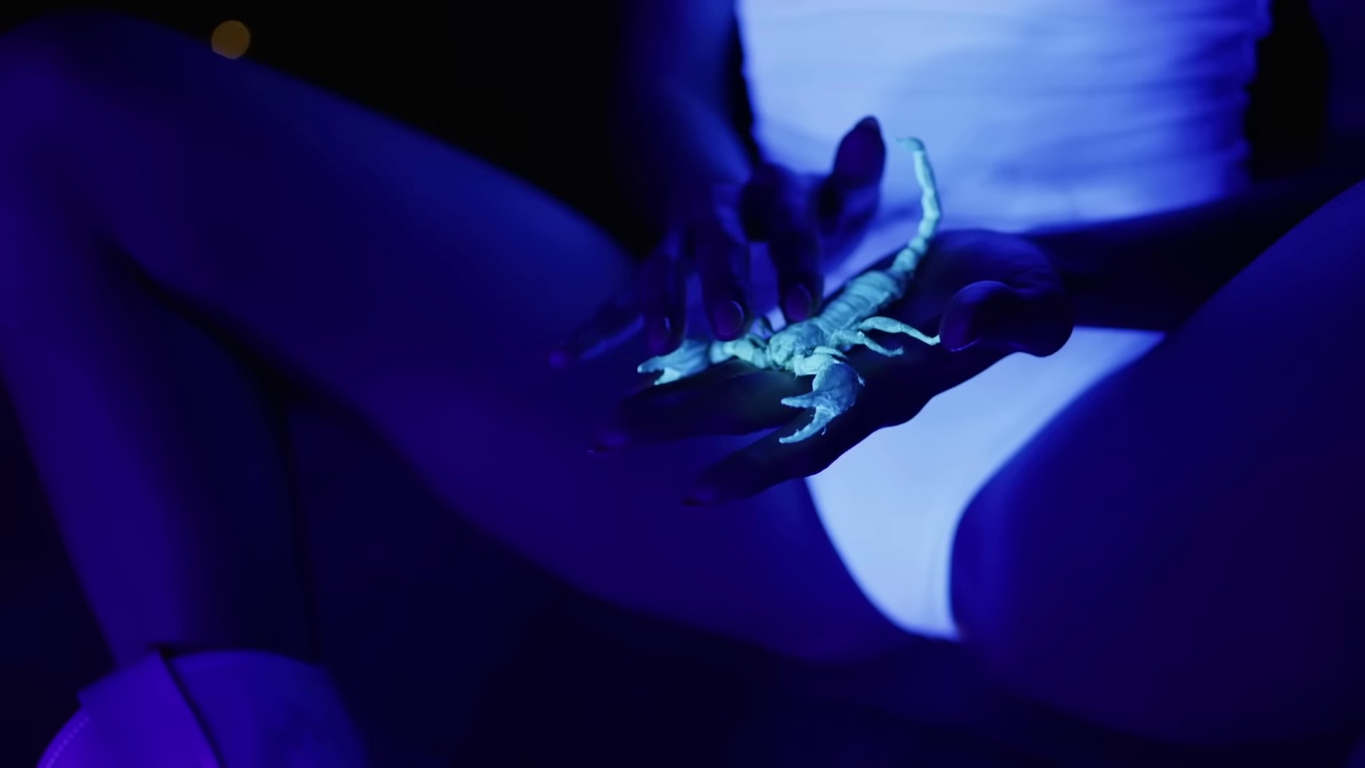 Playa Part. II (2023) —  shot,  lighting