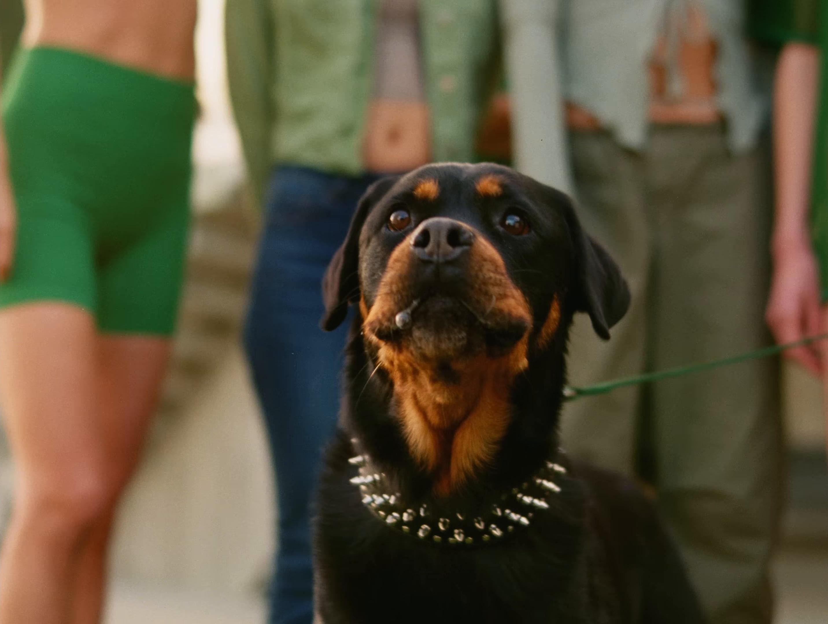 Alakran (2024) —  shot,  lighting