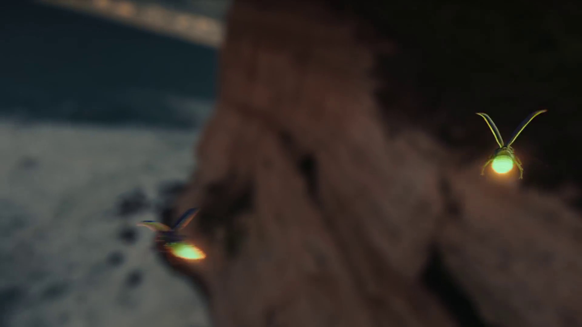 911 (2021) —  shot,  lighting