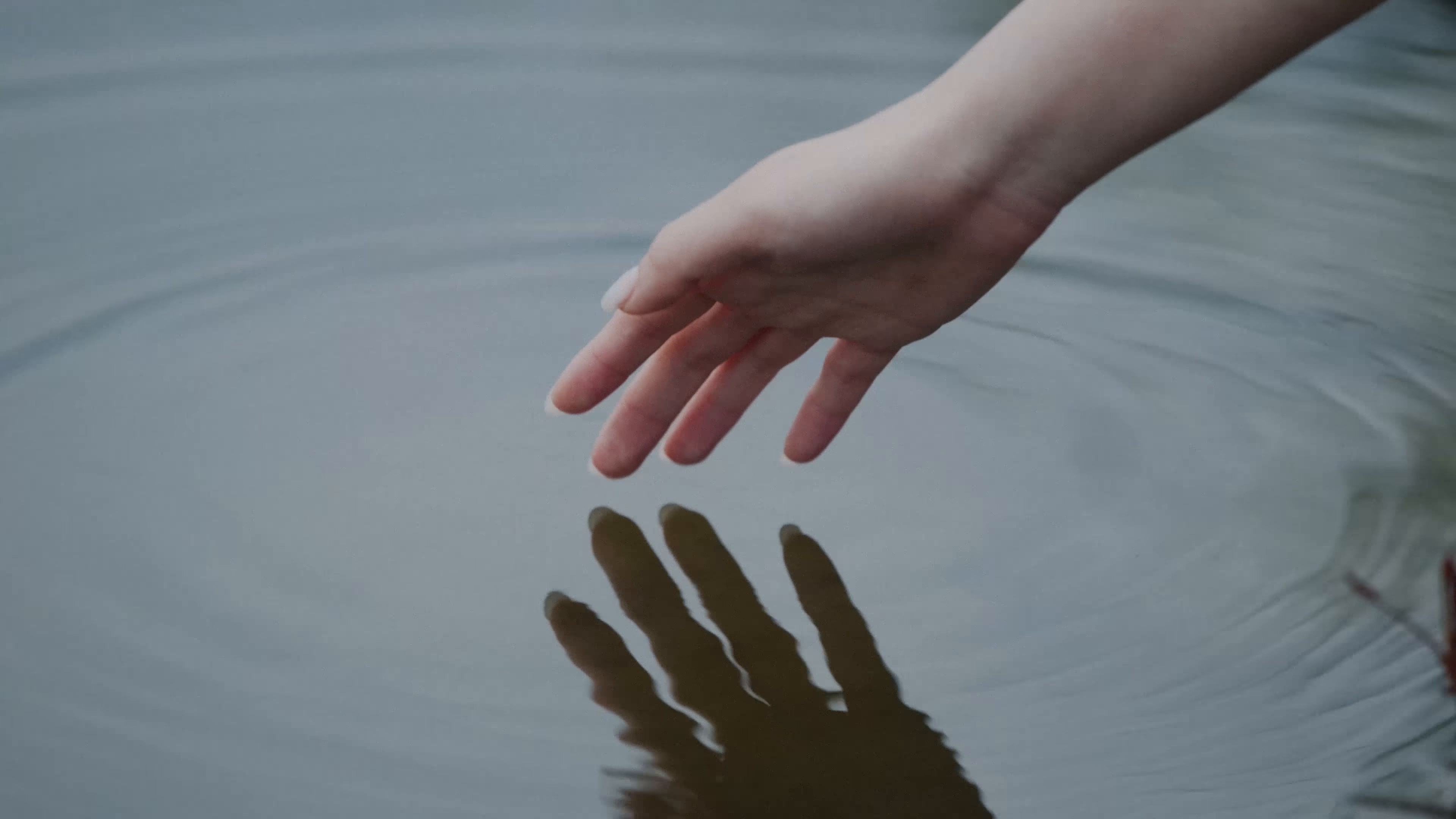 피가 모자라  (2025) —  shot,  lighting