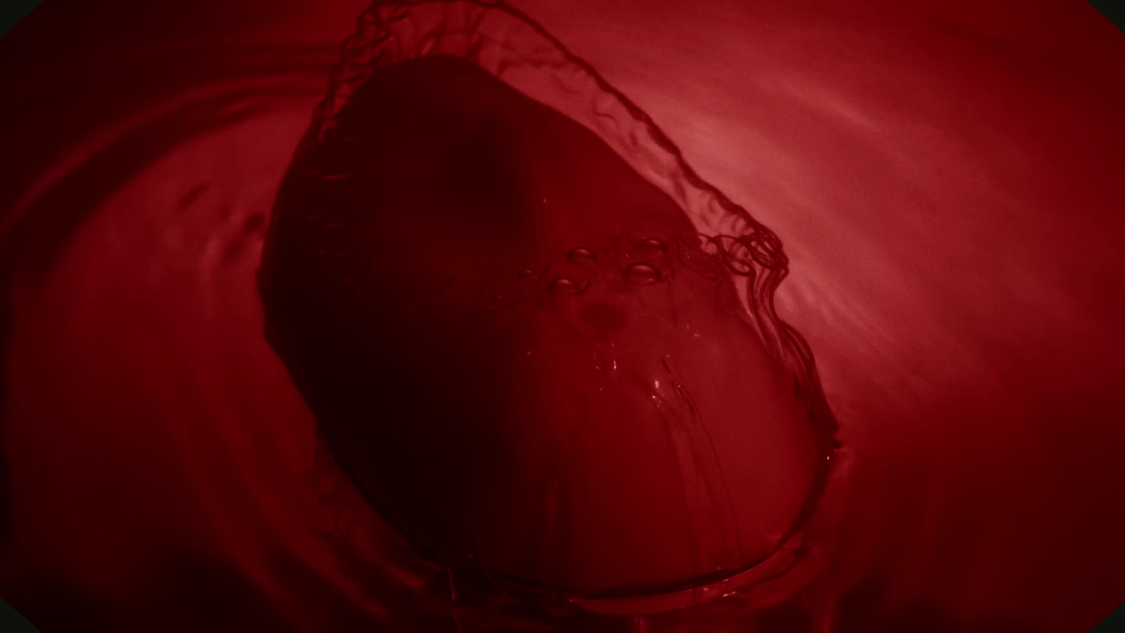 ovule (2022) —  shot,  lighting