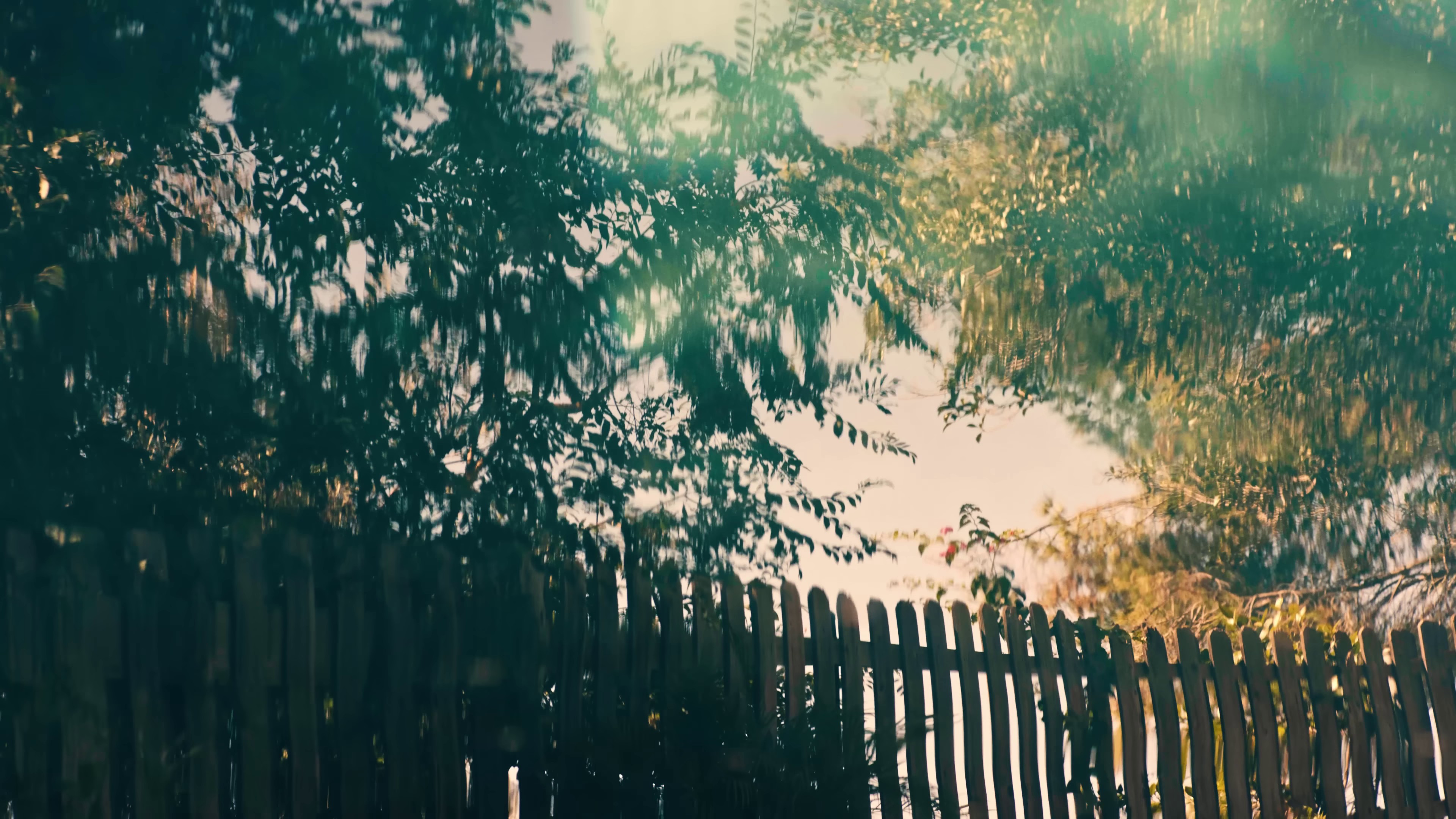 Big Trouble (2023) —  shot,  lighting