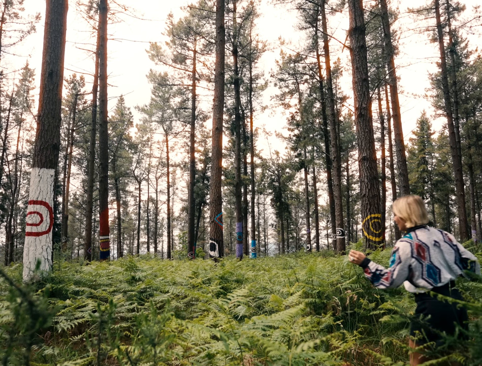 La Salvaje (2025) —  shot,  lighting