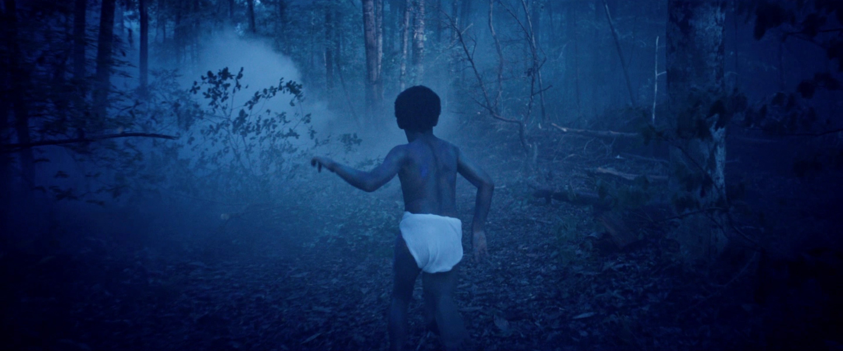 The Birth of a Nation (2016) —  shot,  lighting