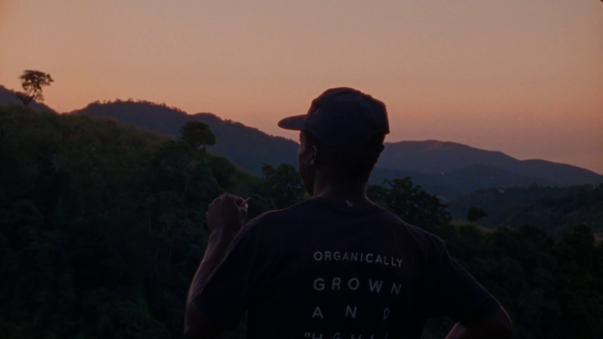 Easy skanking (2019) —  shot,  lighting