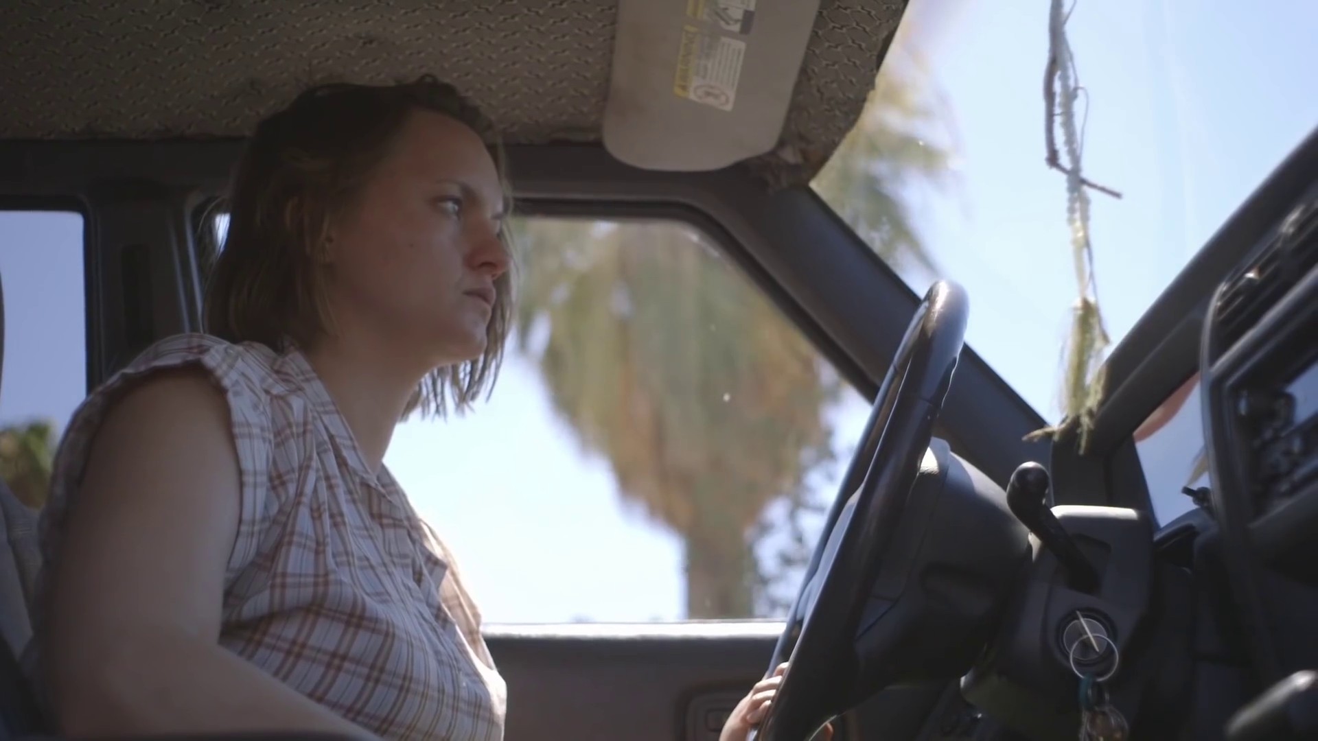 Night Owl  (2016) —  shot,  lighting