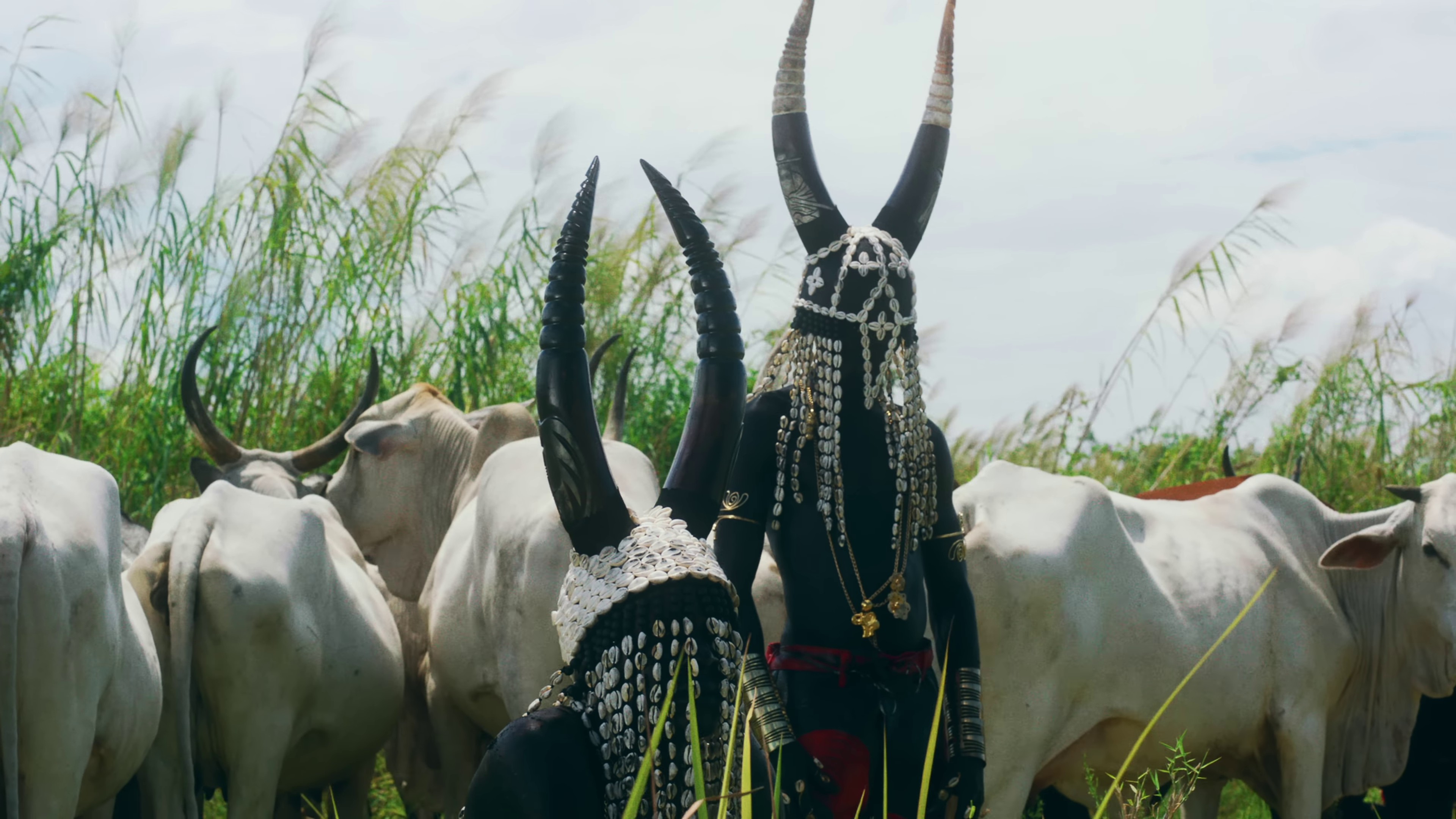 Party No Dey Stop (2023) —  shot,  lighting