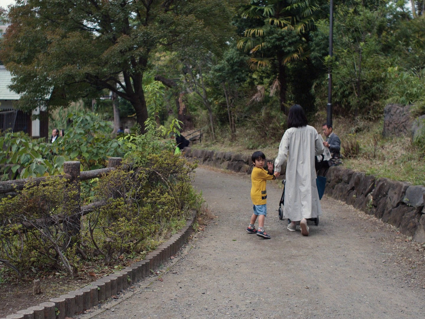 Perfect Days (2023) —  shot,  lighting