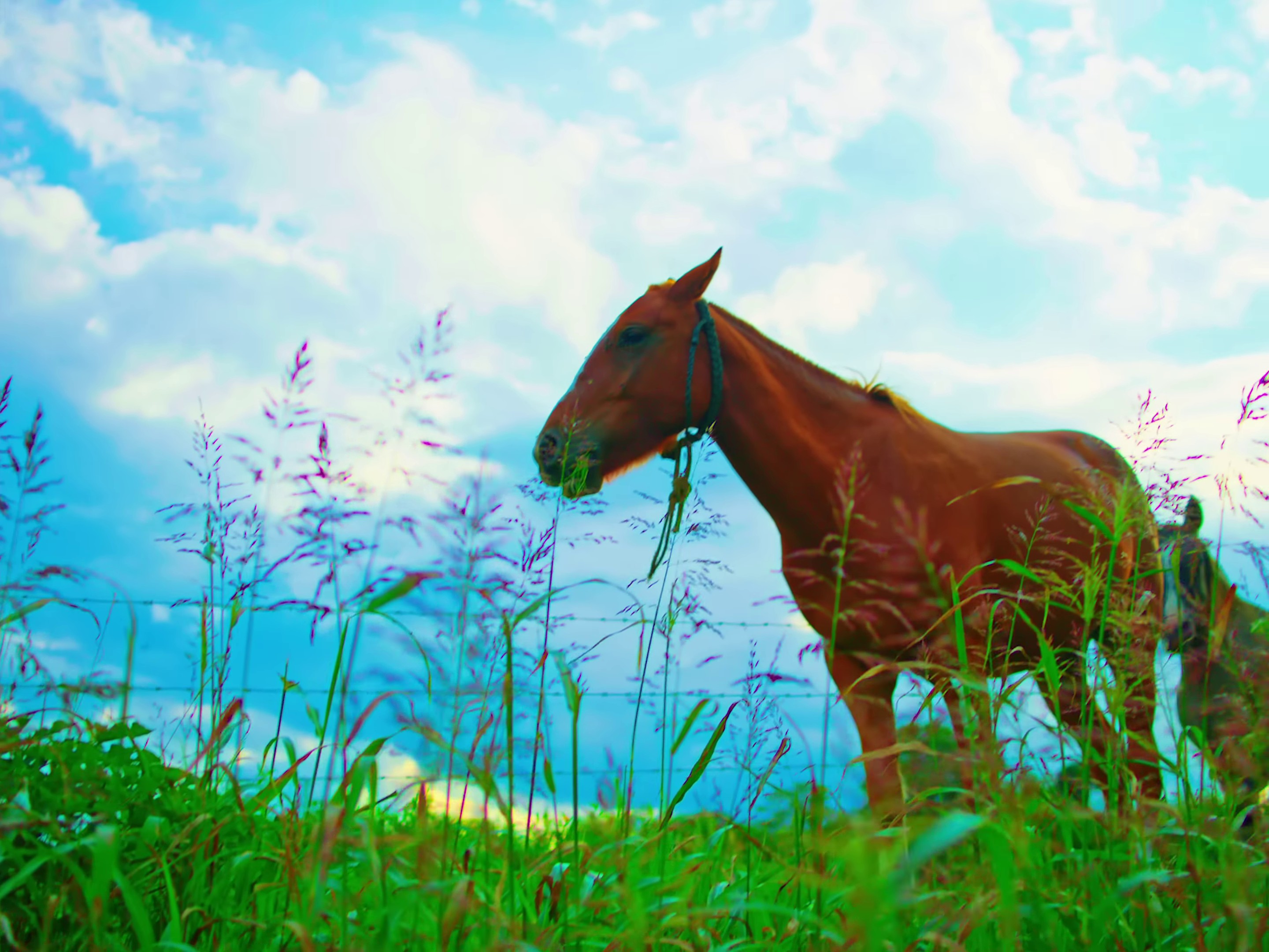 Michael (2022) —  shot,  lighting