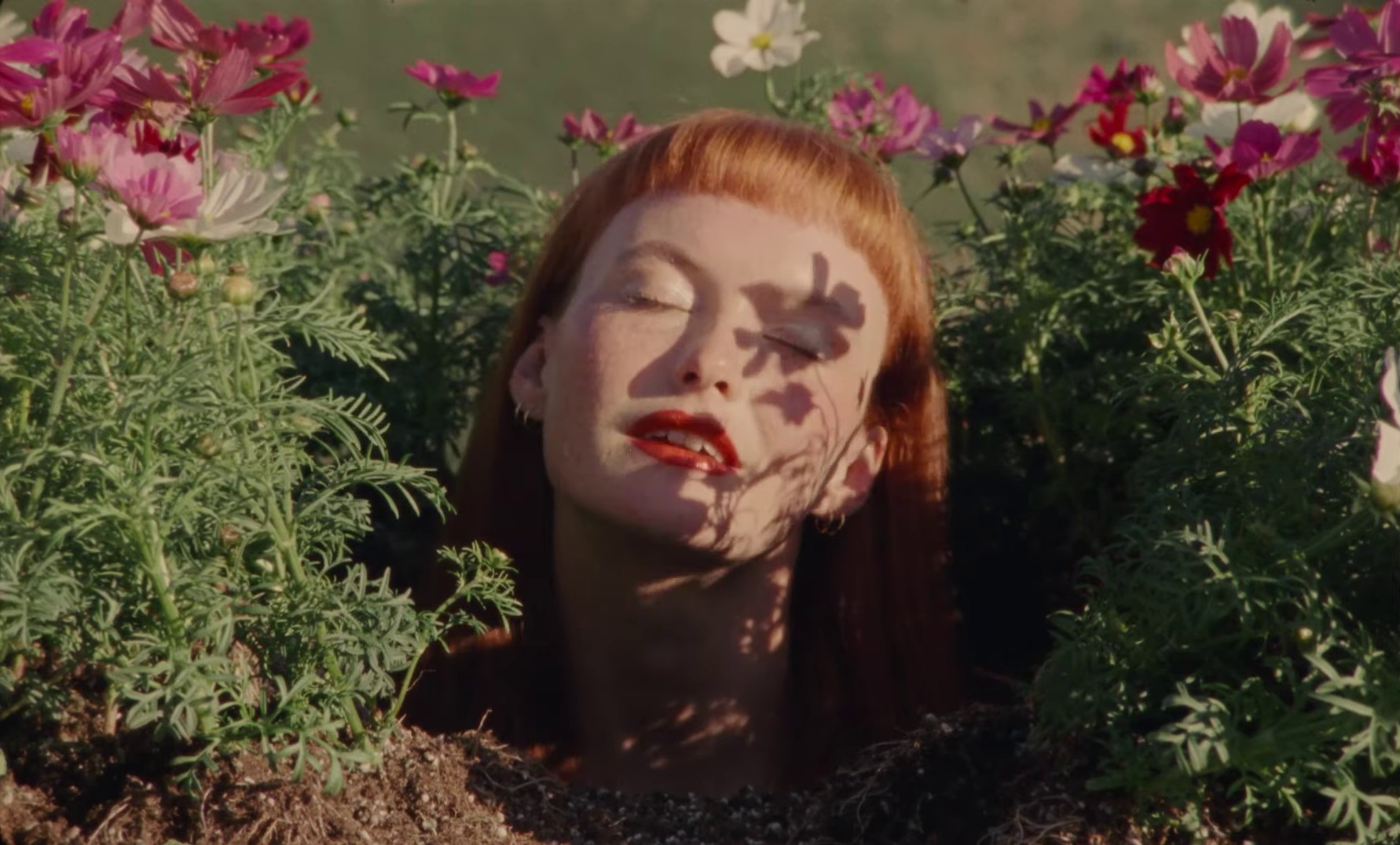 My Day Off (2024) —  shot,  lighting