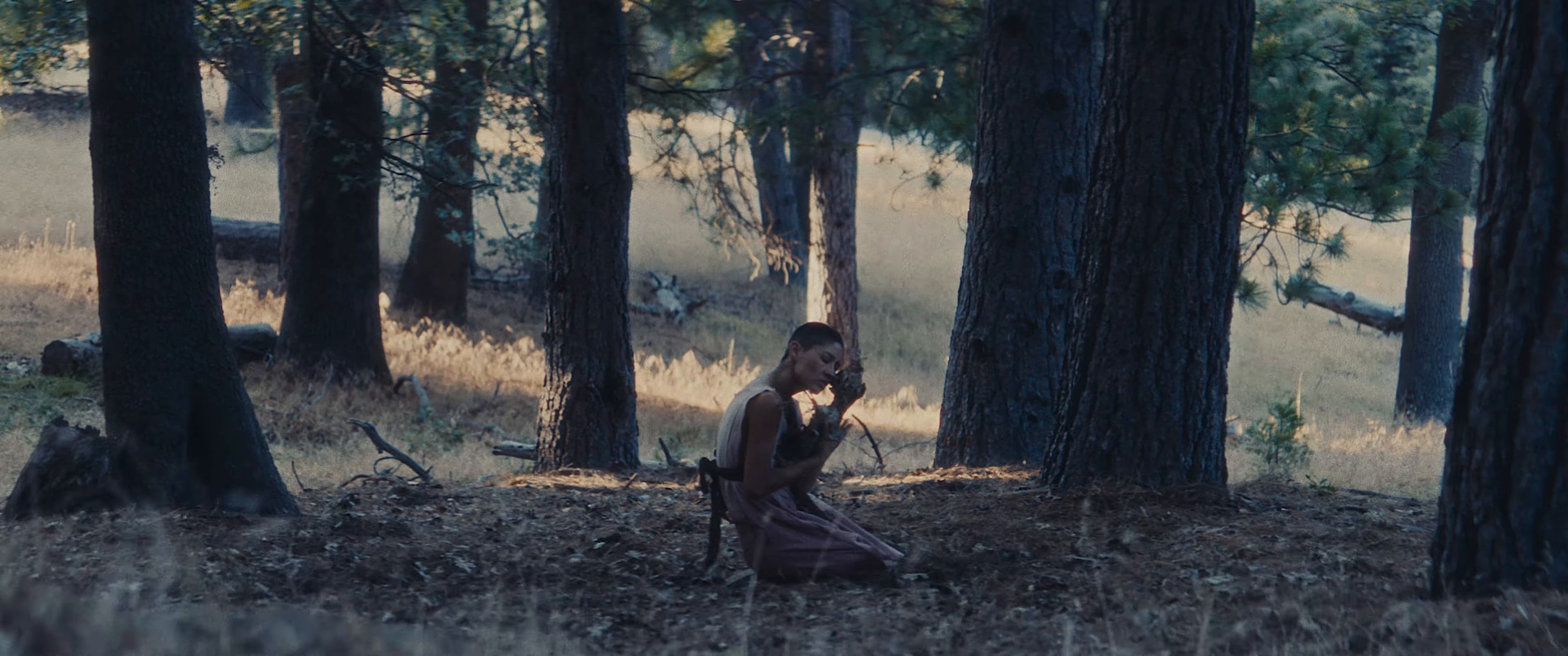 Hole  (2025) —  shot,  lighting