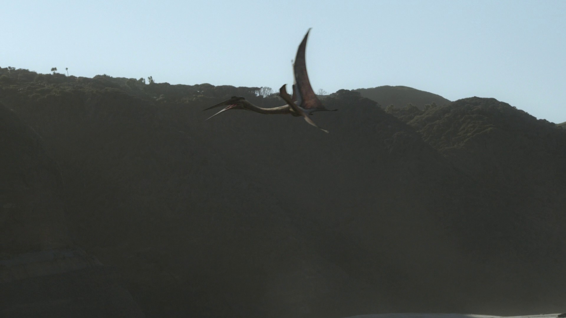 North America (2023) —  shot,  lighting