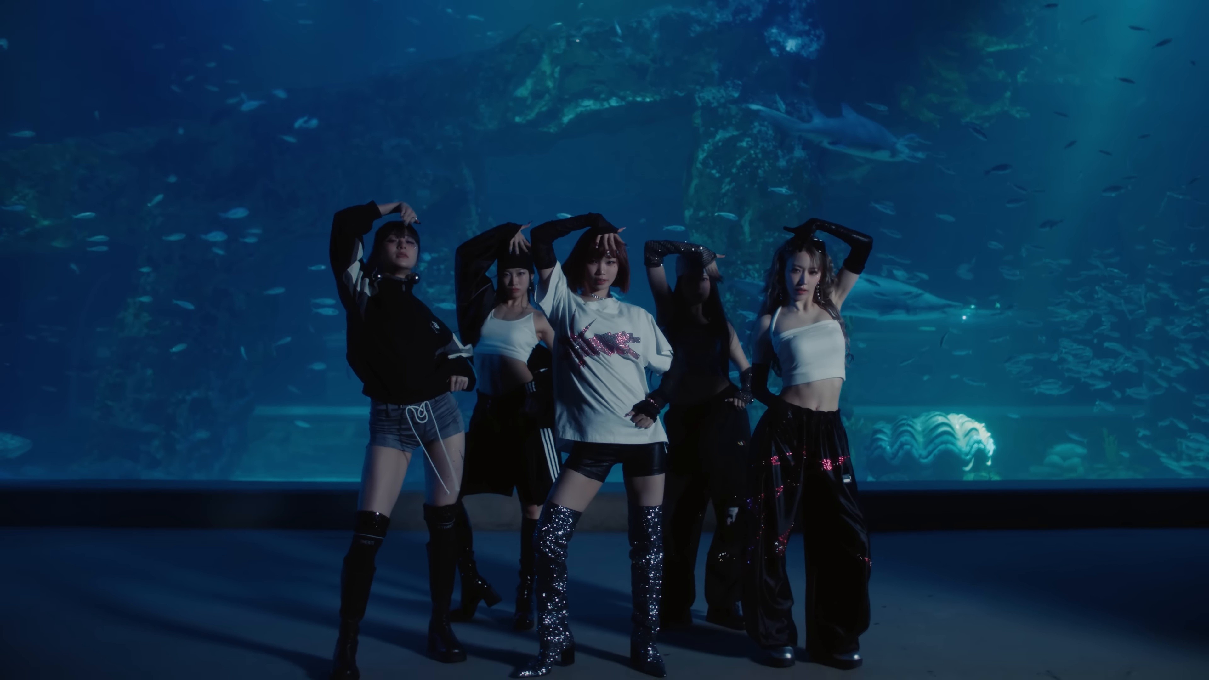 CRAZY (2024) —  shot,  lighting