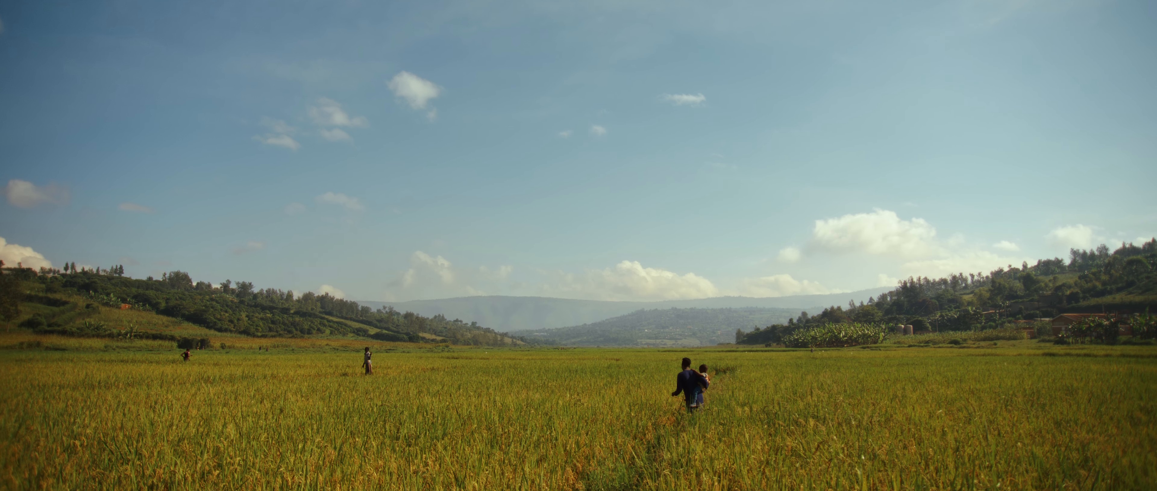 Farafina Mousso (2024) —  shot,  lighting