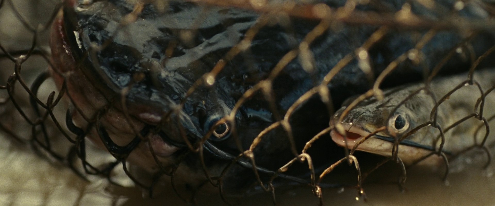 All Dirt Roads Taste of Salt (2023) —  shot,  lighting