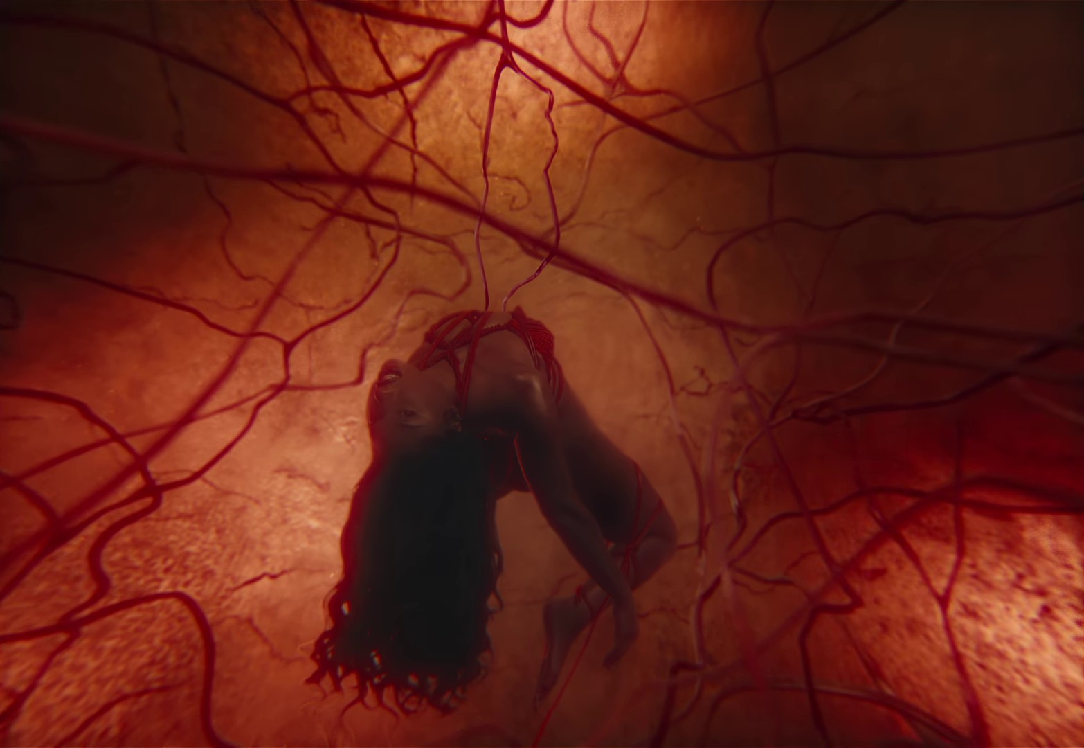 HISS (2024) —  shot,  lighting