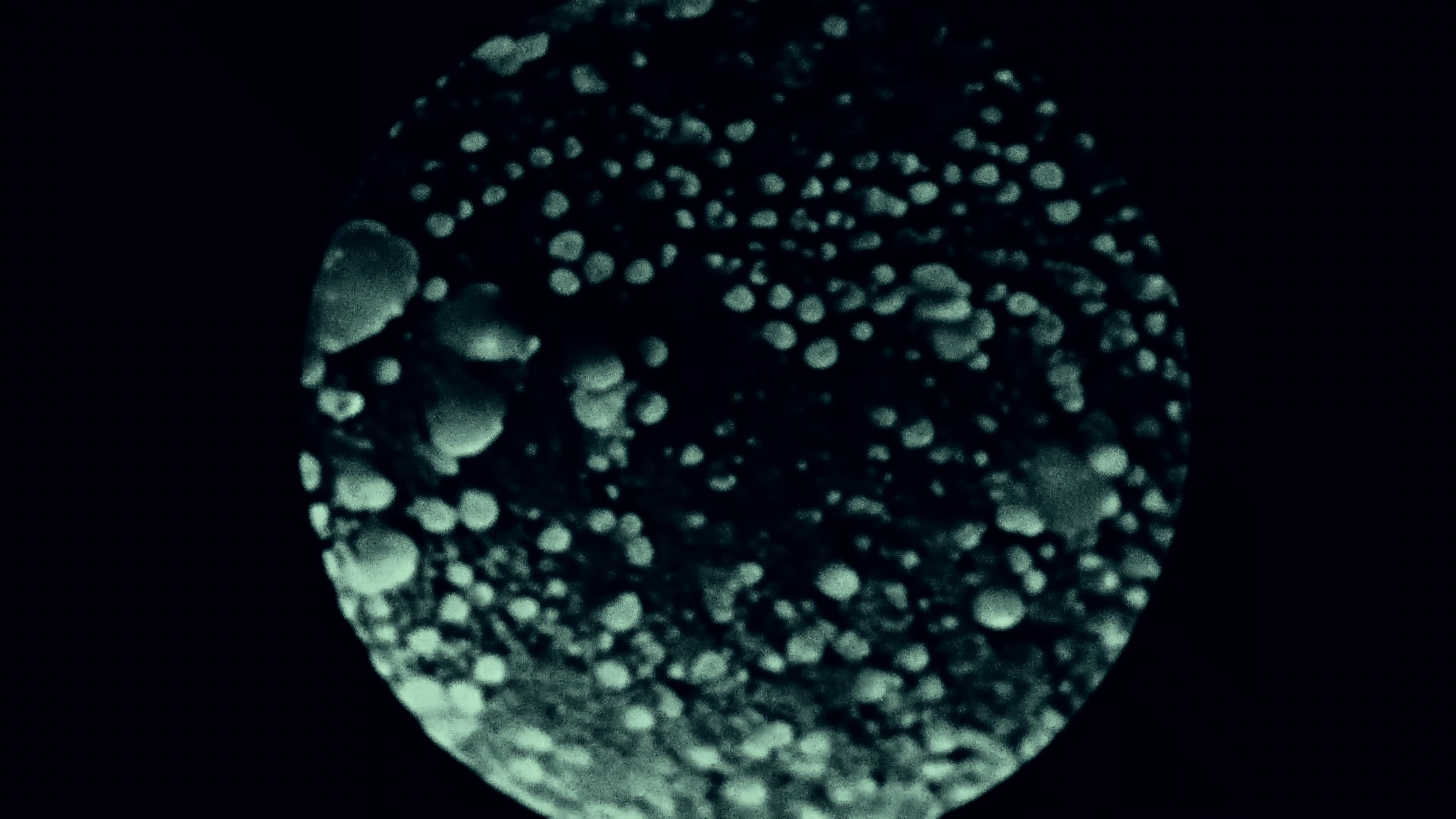 Hero (2025) —  shot,  lighting