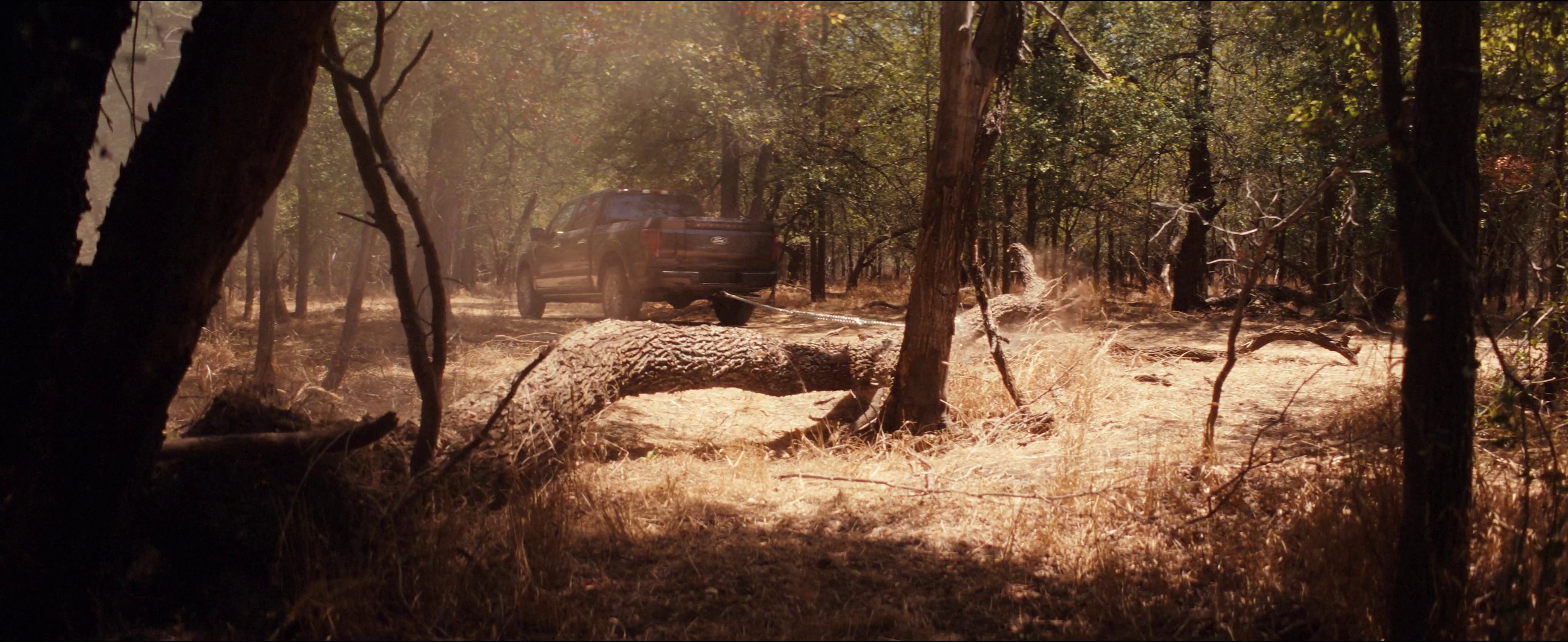 Ford F-150 | Revival (2024) —  shot,  lighting