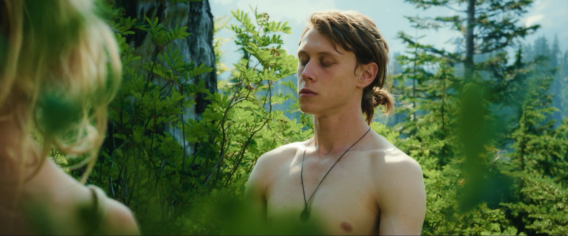 Captain Fantastic (2016) —  shot,  lighting