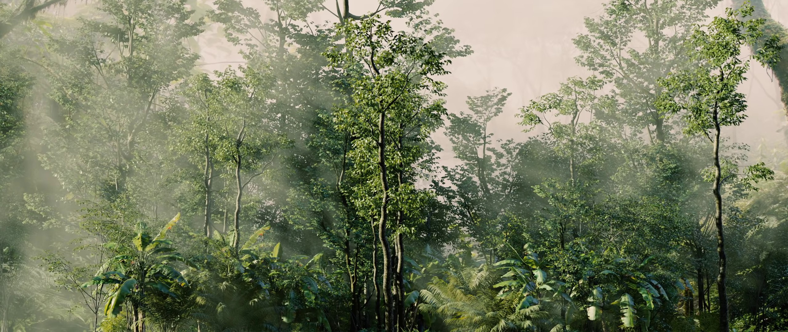 Palaces (2022) —  shot,  lighting