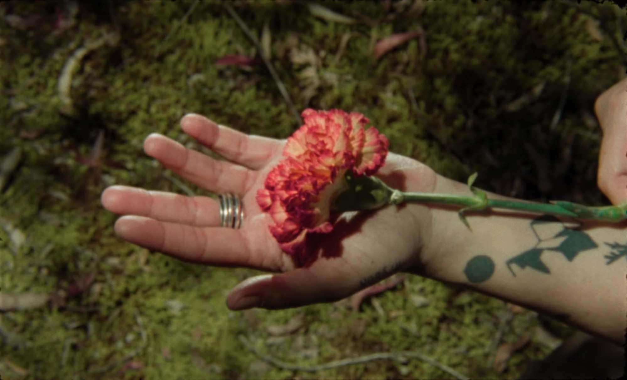 VOY CRECIENDO (2025) —  shot,  lighting