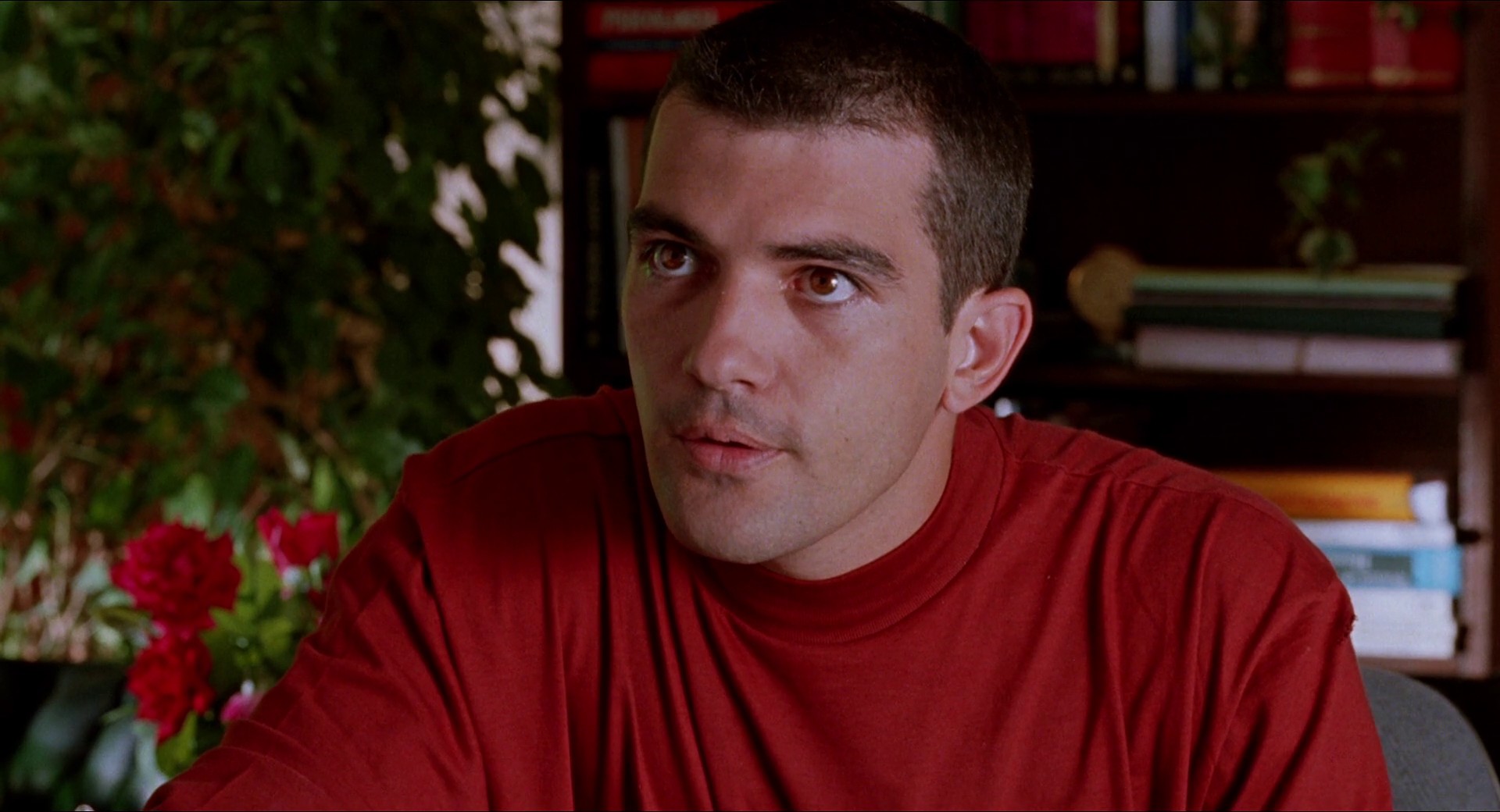 Tie Me Up! Tie Me Down! (1989) —  shot,  lighting