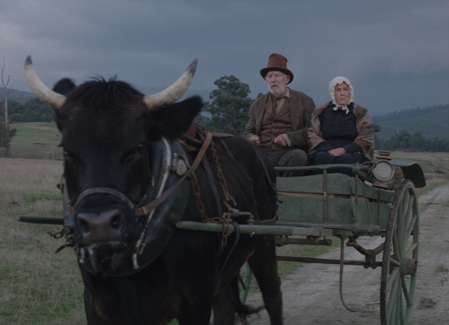 The Nightingale (2018) —  shot,  lighting