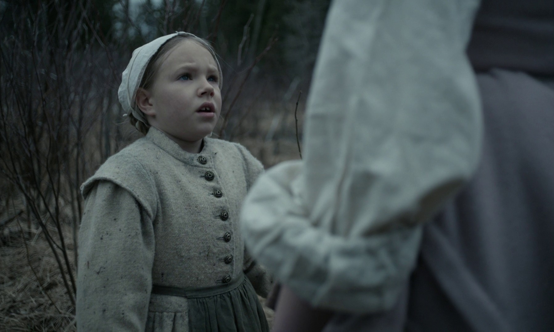 The Witch (2015) —  shot,  lighting