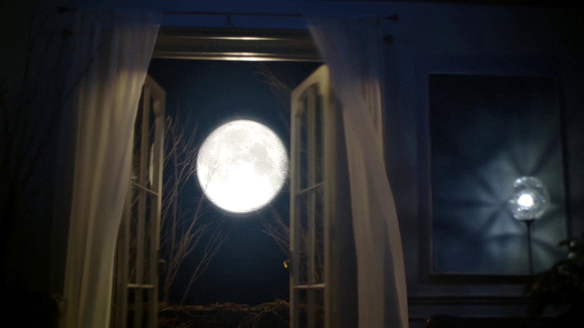 She Wolf  (2009) —  shot,  lighting