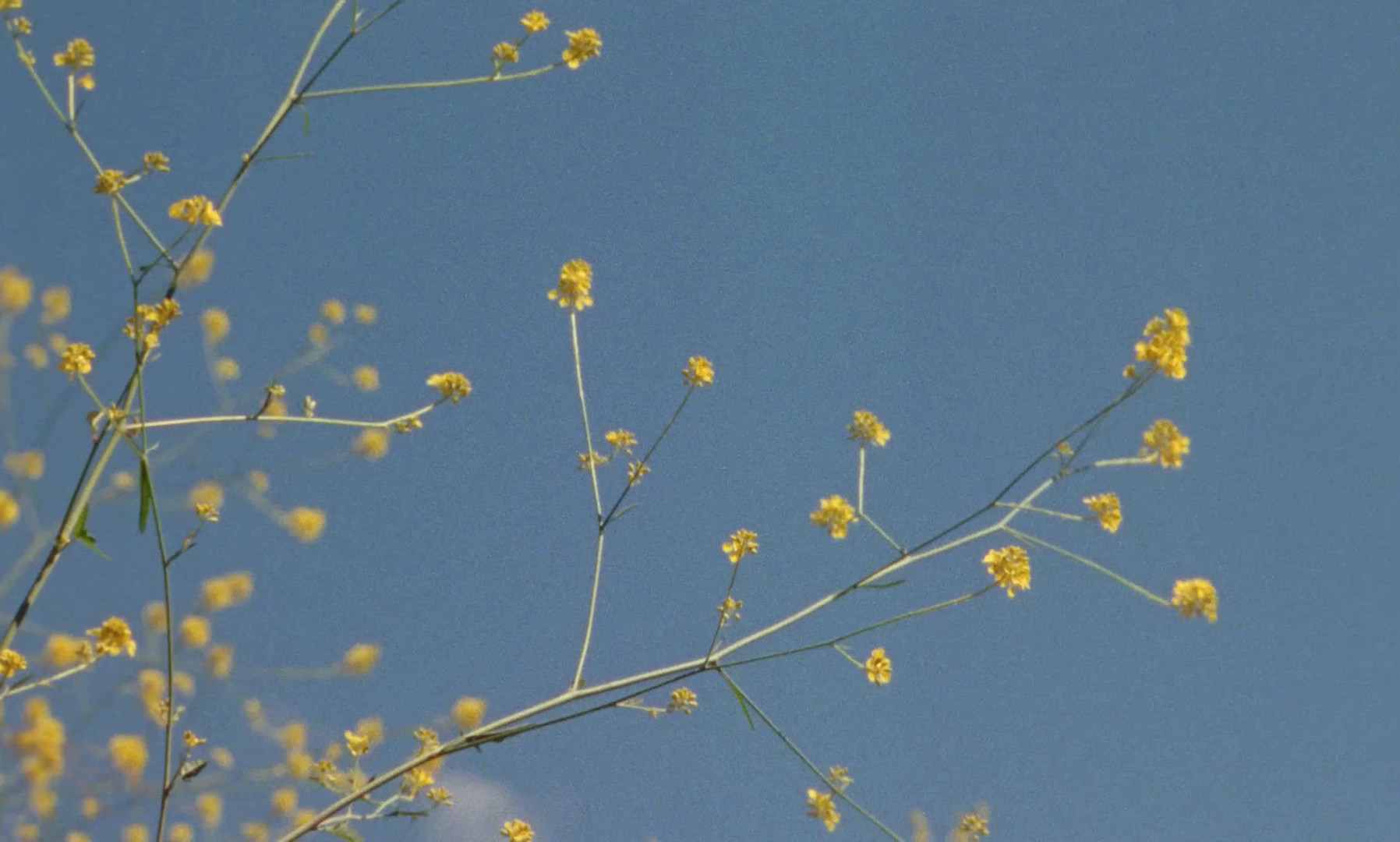 Heaven (2024) —  shot,  lighting