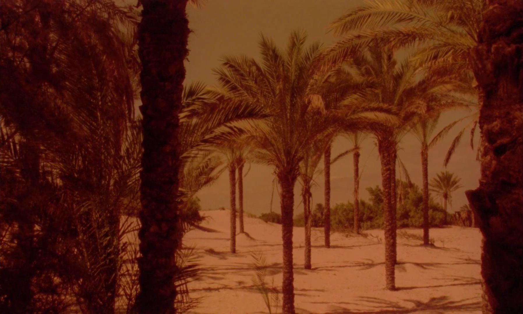 Hikayatul jawahiri thalath (1995) —  shot,  lighting