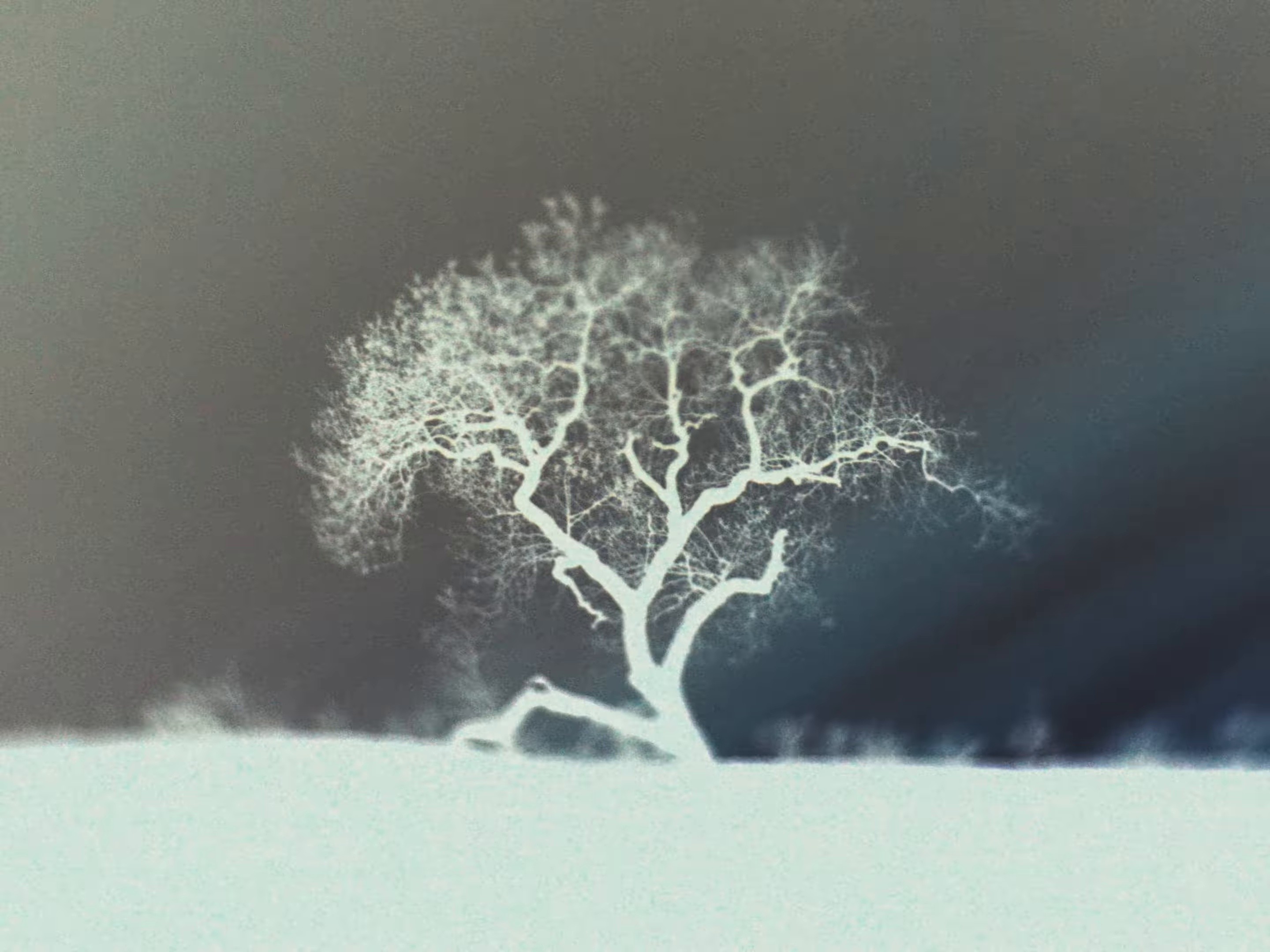 MONSOON (2025) —  shot,  lighting