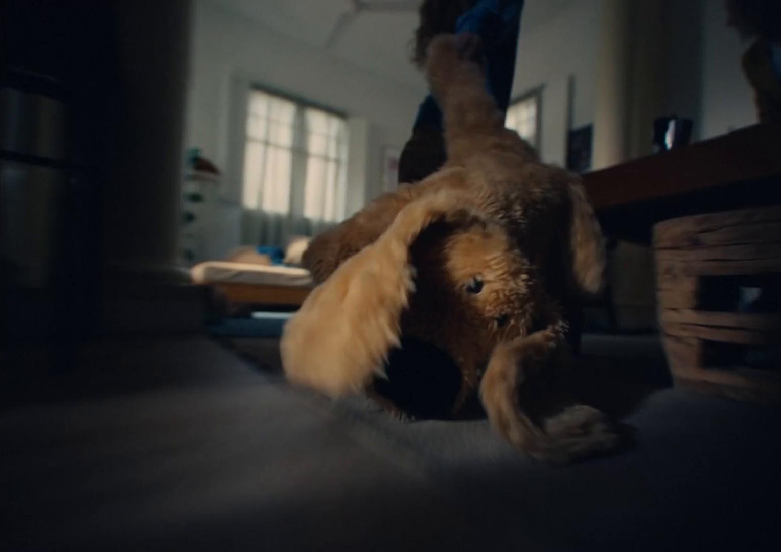 Allianz Go! Ad (2024) —  shot,  lighting