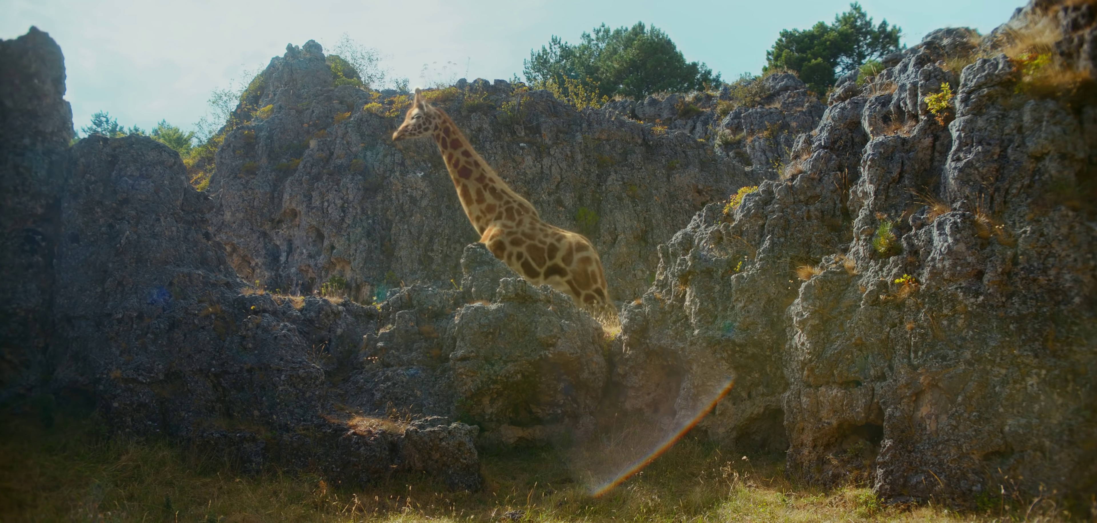 Nous (2020) —  shot,  lighting