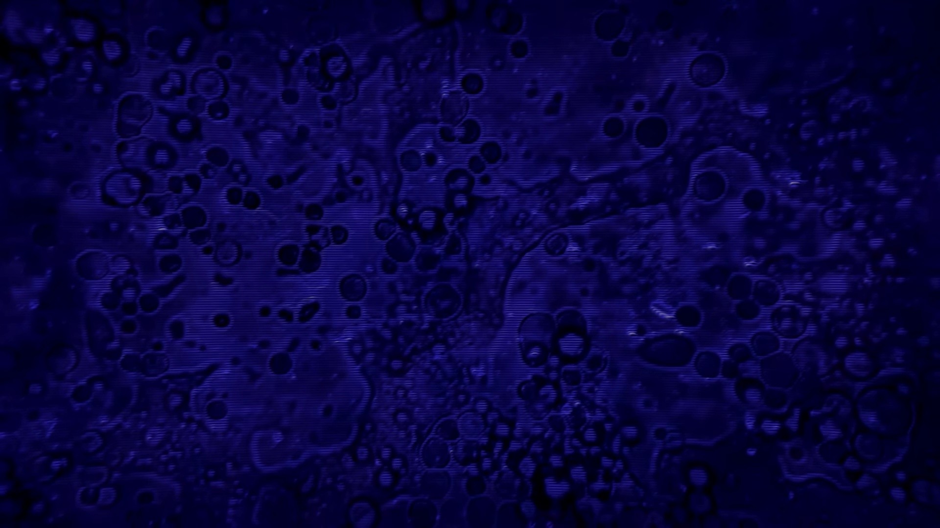 Wet (2024) —  shot,  lighting